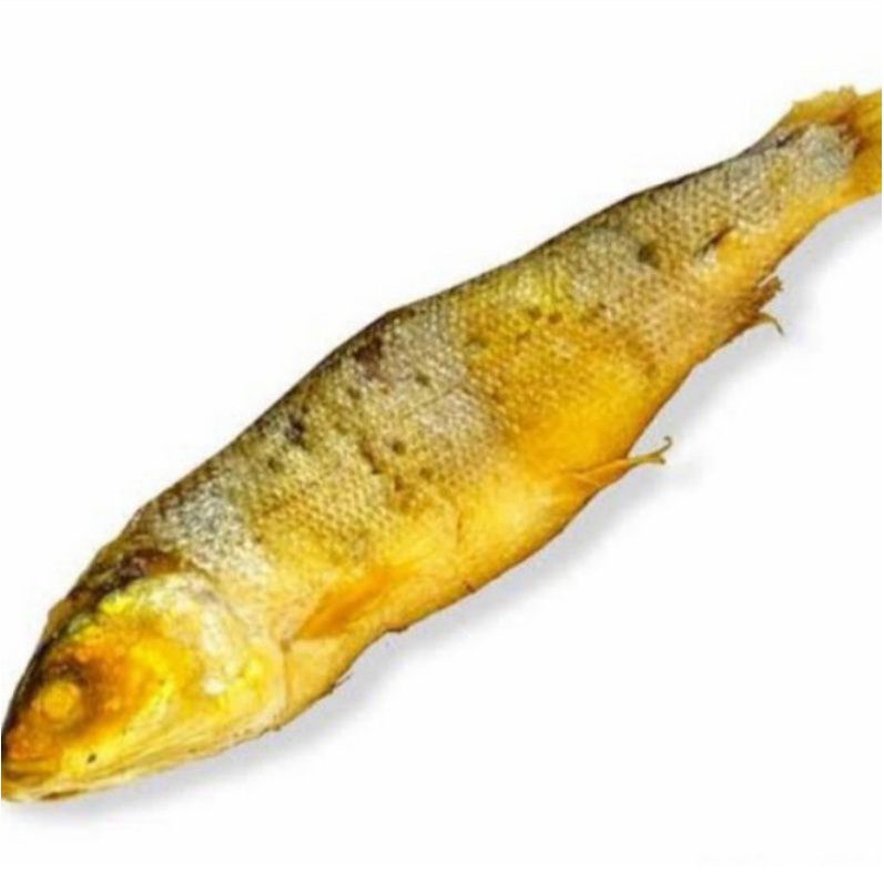 

ikan bandeng presto 1 pcs