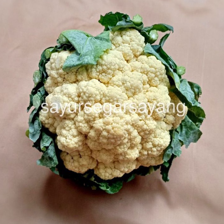 

Kembang Kol 500gr