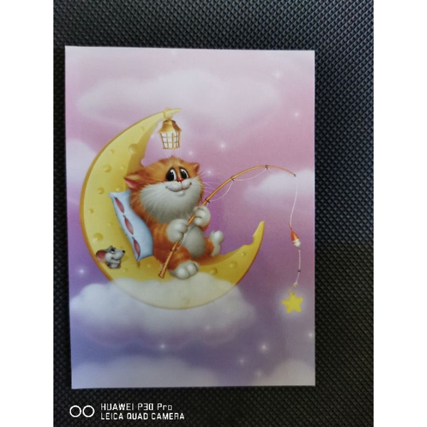 

kartu pos kucing dolotov/ dolotov cat postcard