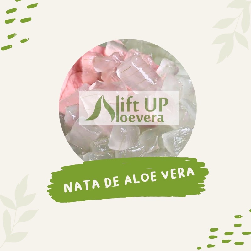 

NATA ALOE VERA/ JELLY LIDAH BUAYA/ LIDAH BUAYA KUPAS