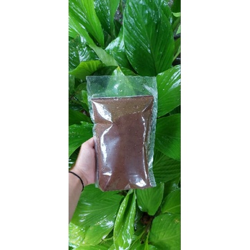 

Kopi tulen DAMARWULAN
