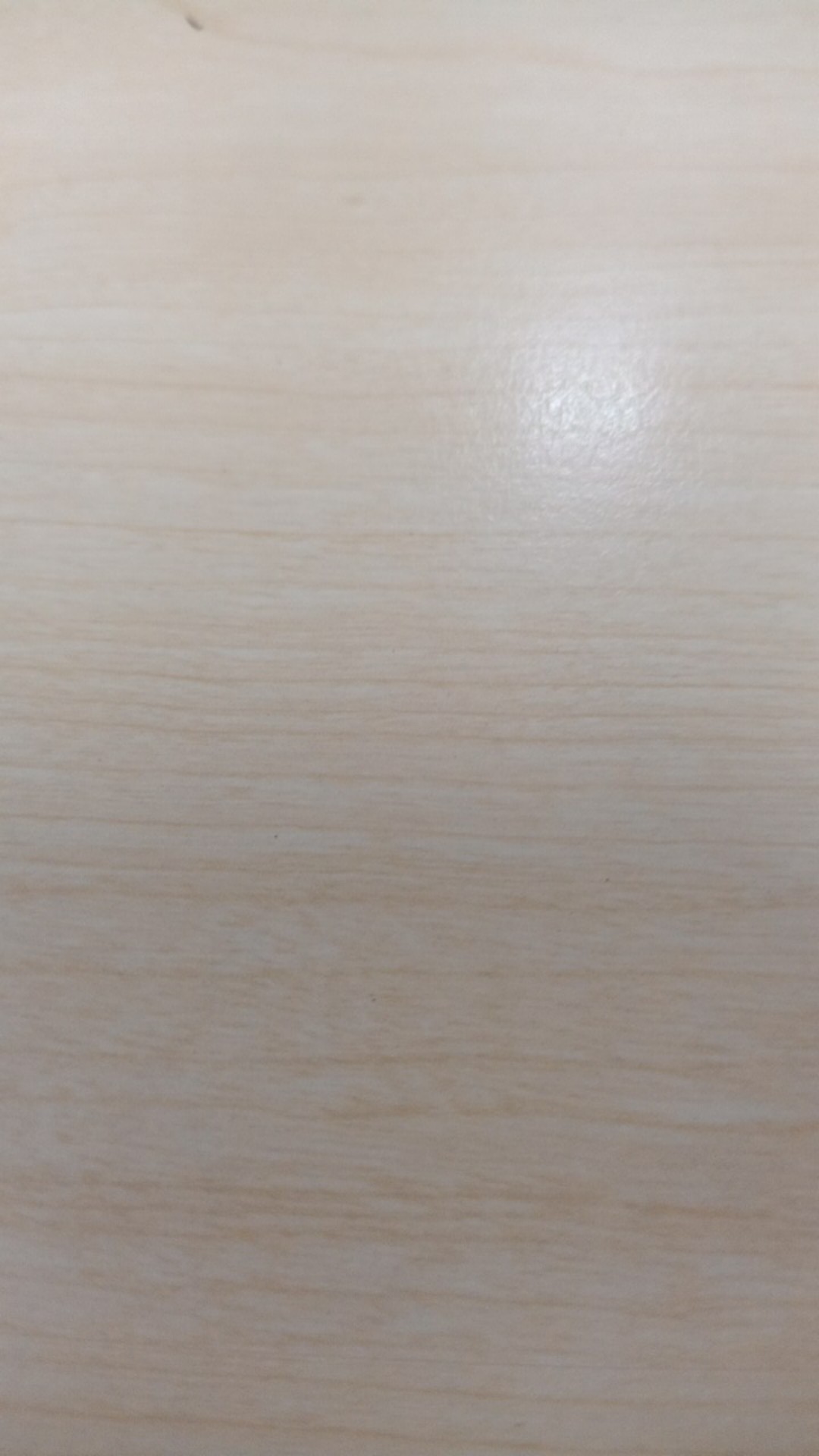 Bibit Jambu Air Madu Susu