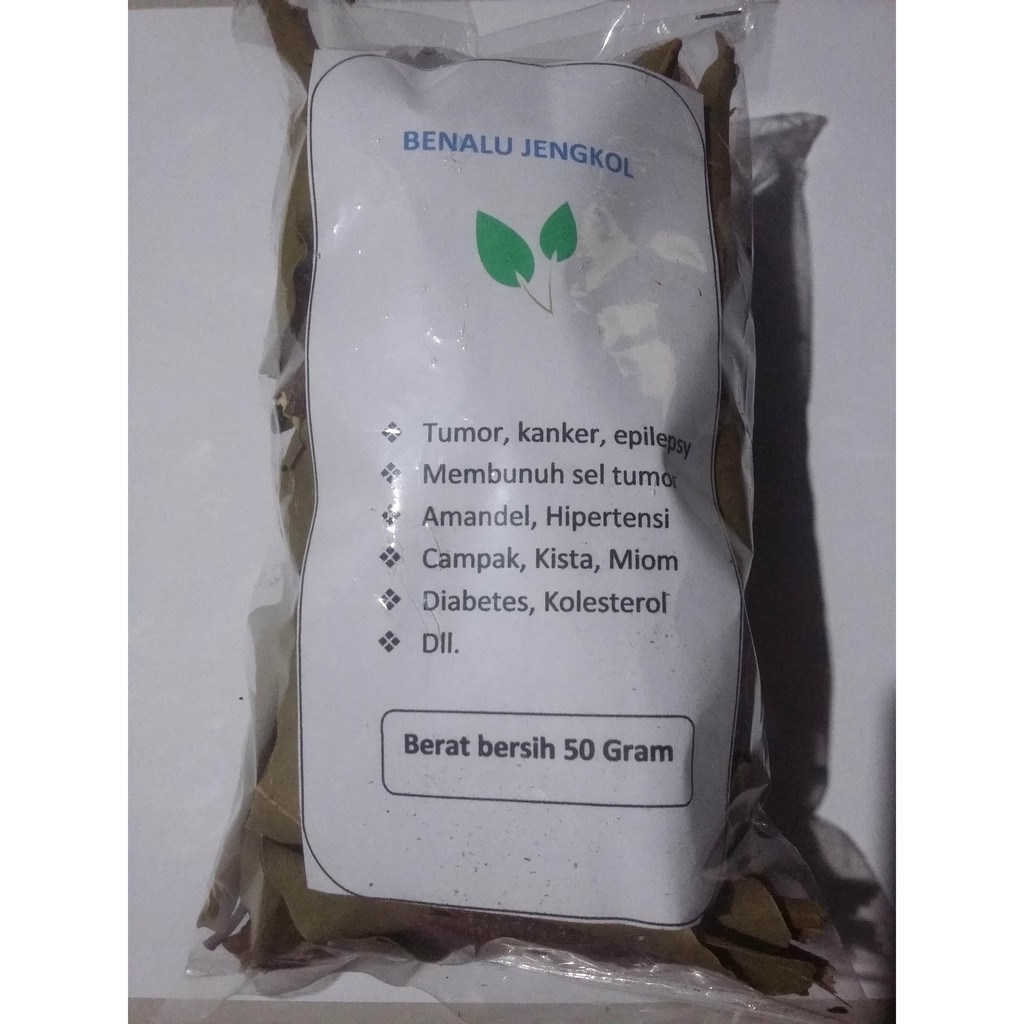 

Benalu Pohon Jengkol Kering