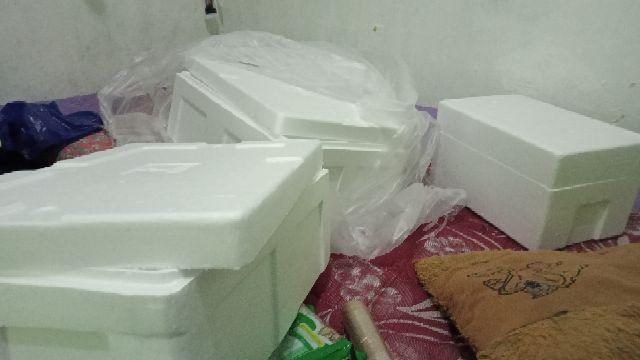 Styrofoam Box Udang Extra Hard / Fish / Ikan / Seafood / Hidroponik / Murah / Dpr / Medium / Seri B