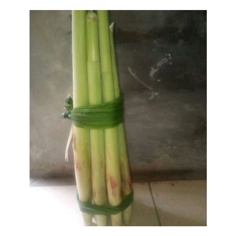

TERUBUK TELUR ORIGINAL 100% FRASH
