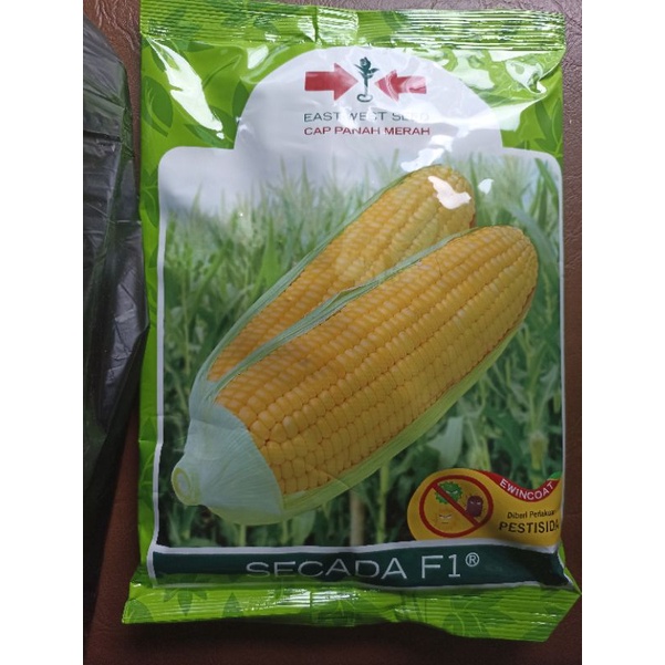 Benih Jagung Manis Scada Isi 1800 butir