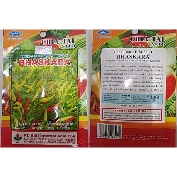 Cabe Rawit // Hibrida F1 BHASKARA // Benih Cabai Rawit // Hibrida F1 BHASKARA
