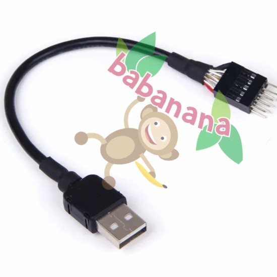 Usb Type A to usb 9 pin male motherboard adapter cable converter aio