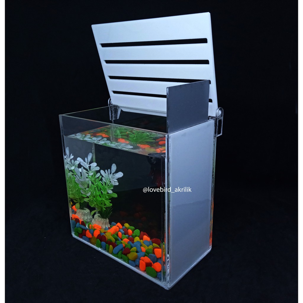 Aquarium Ikan Cupang Aquarium Mini Akrilik Betta Fish Acrylic Aquarium Akrilik Soliter Akrilik Shopee Indonesia Aquarium akrilik buat cupang