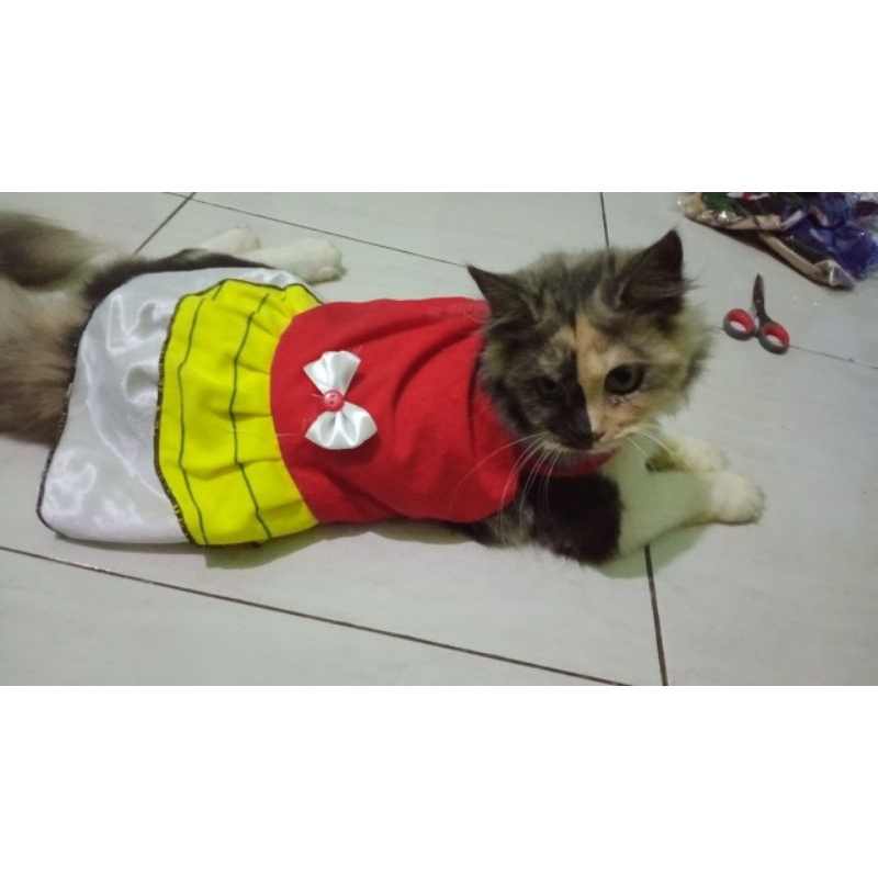 baju kucing /baju kucing murah / baju kucing rok berpita