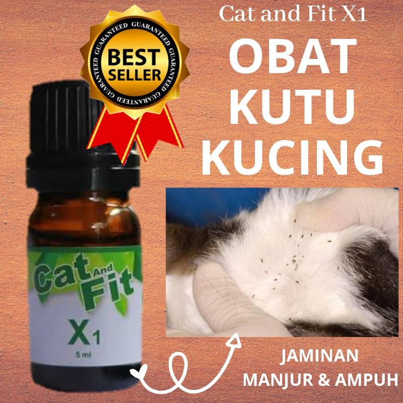 {PROMO!!!} PAKET OBAT KUCING CAT AND FIT X1 DAN SHAMPOO V1 OBAT JAMUR KUTU SCABIES RINGWORM KUCING