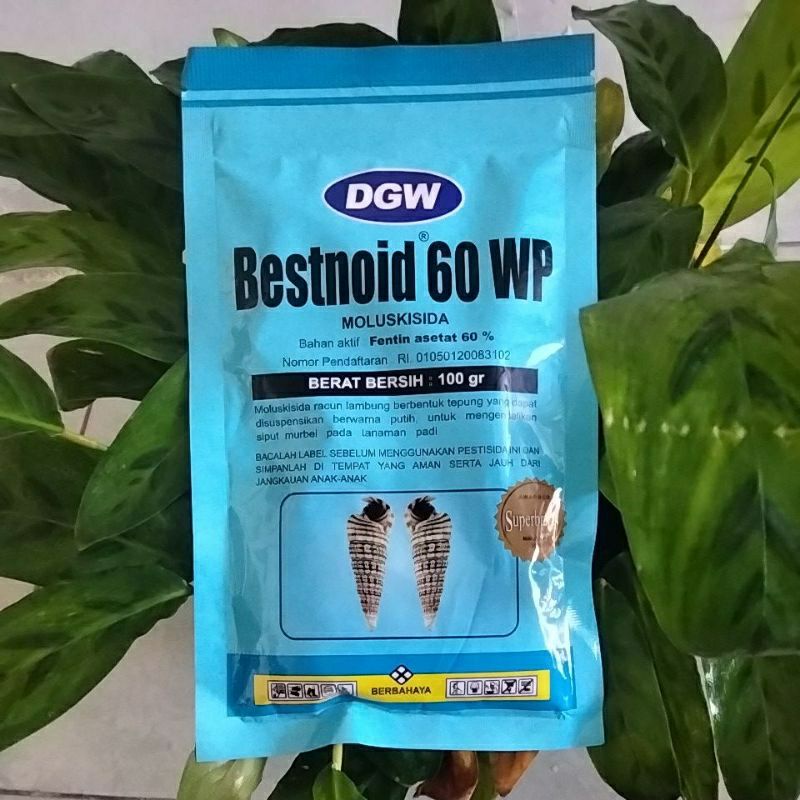 Bestnoid 60 wp 100 gr
