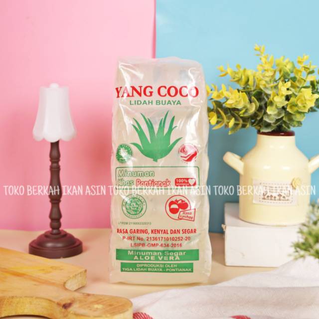 

Yang Coco Lidah Buaya Khas Pontianak / Minuman Segar Aloe Vera