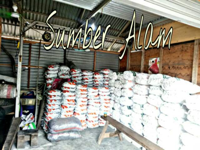 Arang / Areng Batok Kelapa