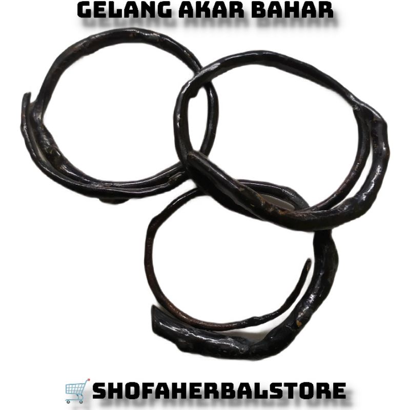 GELANG AKAR BAHAR UKURAN SEDANG