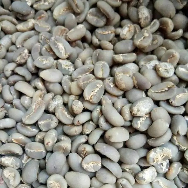 

Green Bean Kopi Arabika Gayo 1kg