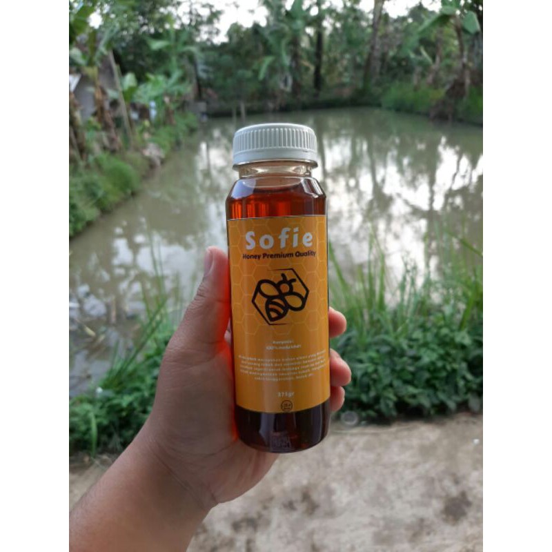 

madu murni 100% jenis meliefera