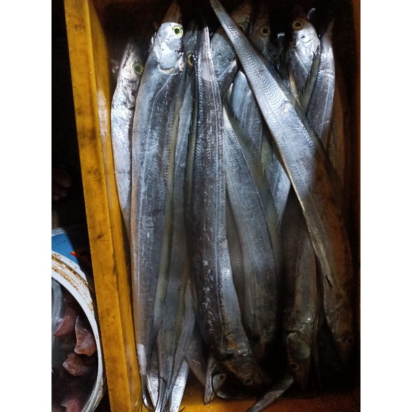 

Ikan Layur Segar