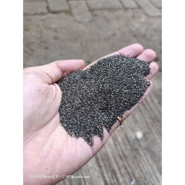 Pasir moza aquarium aquascape chana