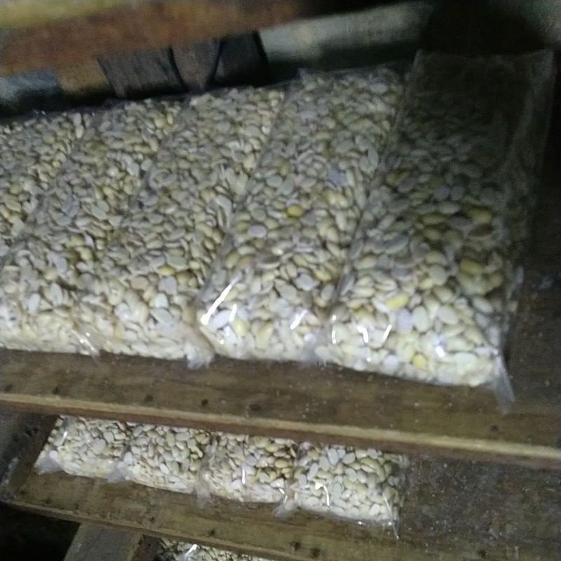 

tempe gede