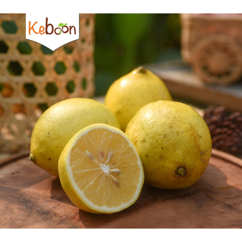 

Jeruk Lemon Lokal (500 gr)