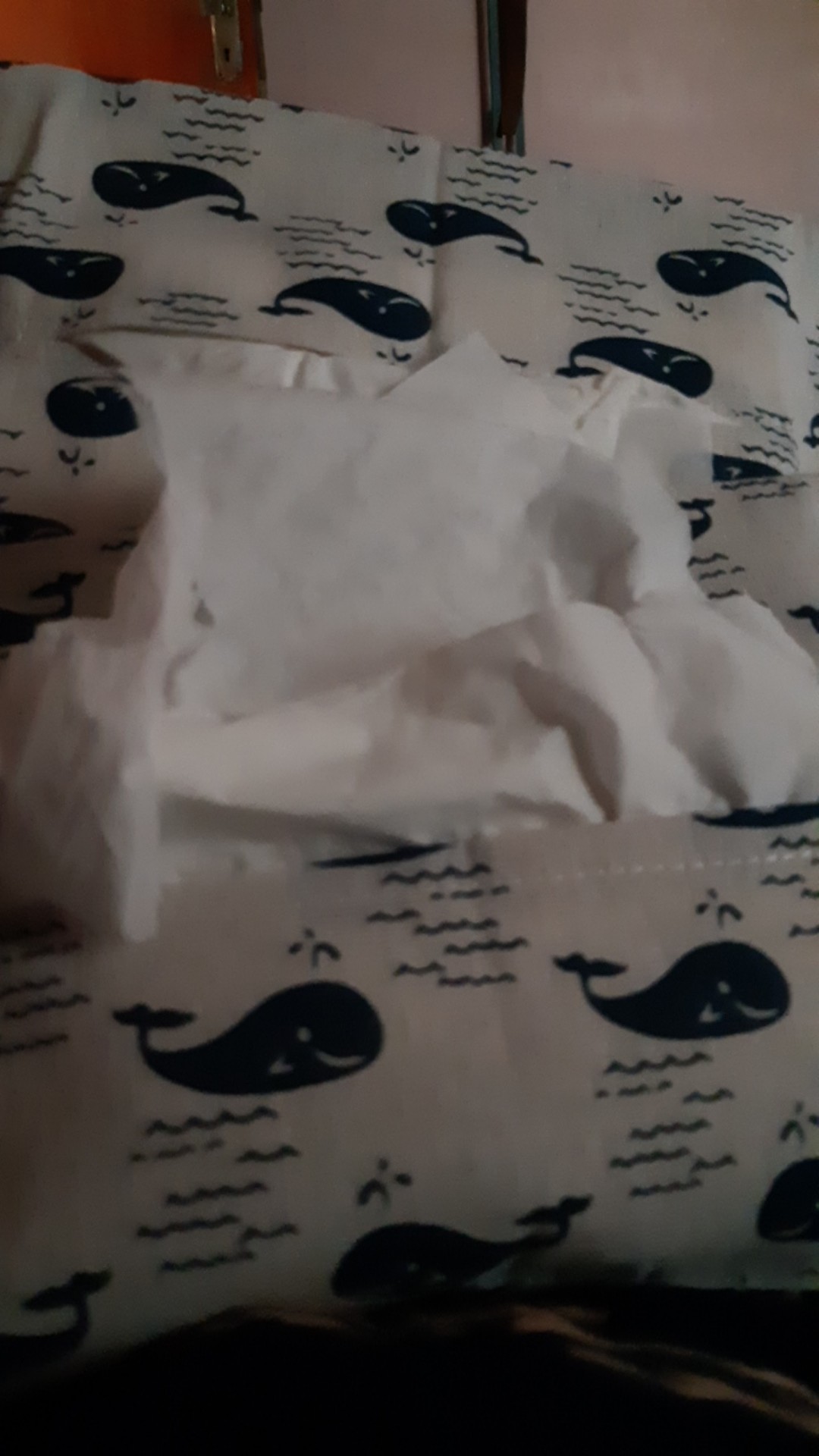 Tisu Wajah - Tissu - Facial Tissue - Tisu Lembut - Tissue Refill (1000gr / 1kg)