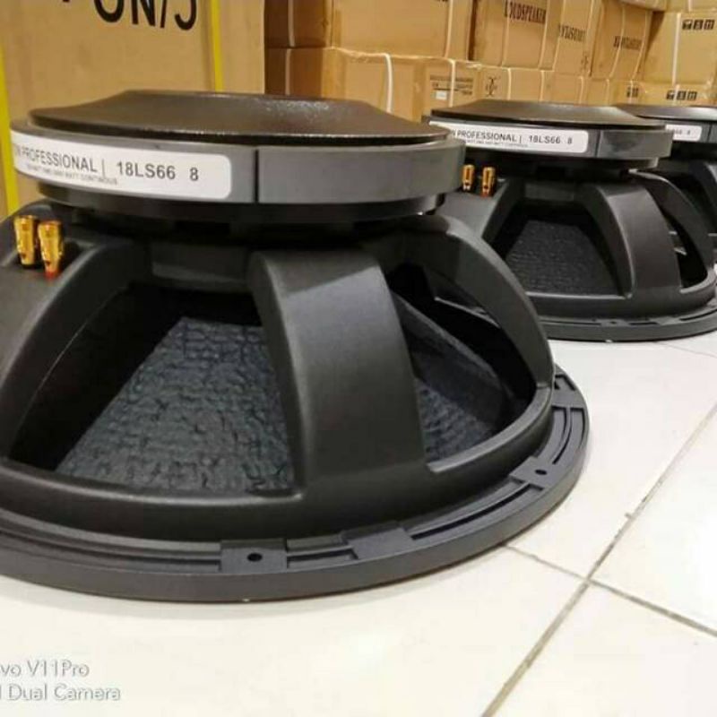 Speaker 18 In 18LS66 RDW