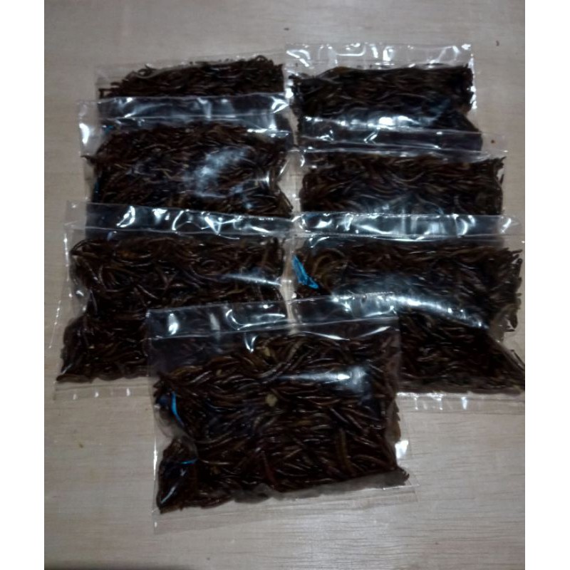 Ulat Jerman/Superworm Kering (oven)