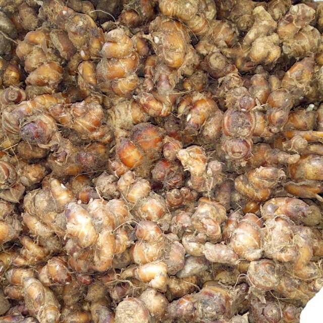 

Kencur 1kg