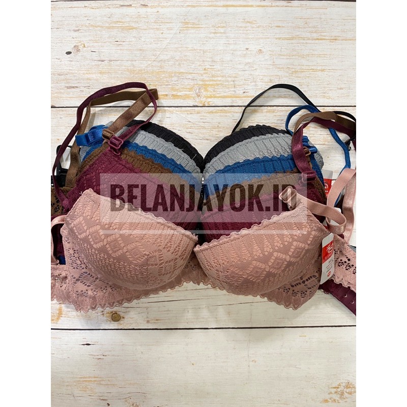 BH Elena Bra Elena BE 24522 Push Up Bra Cup Sedang
