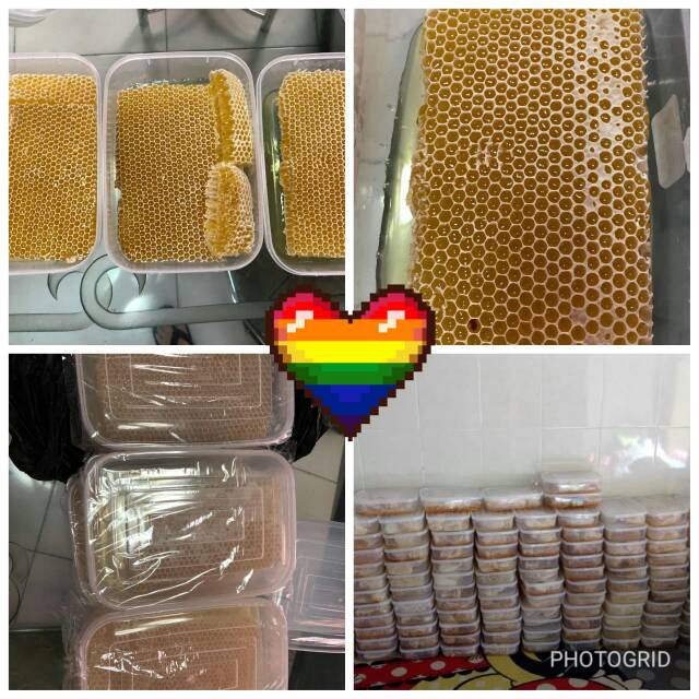 Premium Honey comb honeycomb madu sarang tawon lebah propolis royal jelly bee pollen beepollen