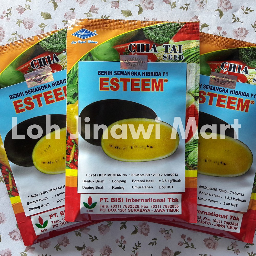 Benih Semangka Inul Kuning Esteem Cap Kapal Terbang (20 g)