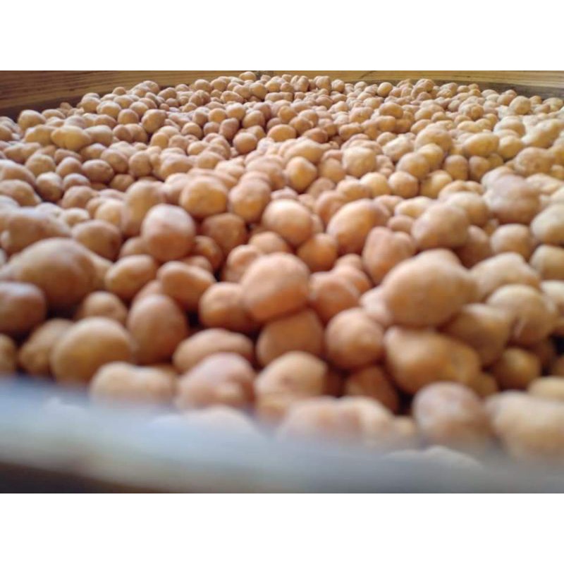 

Kacang Telur