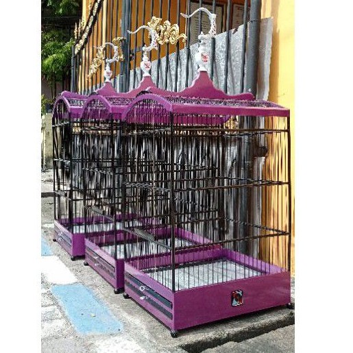 sangkar nepak ahx concept uk 1 (40x45) 2(37x43) 3(35x40) magenta bukan ebod bnr radja oriq sazime