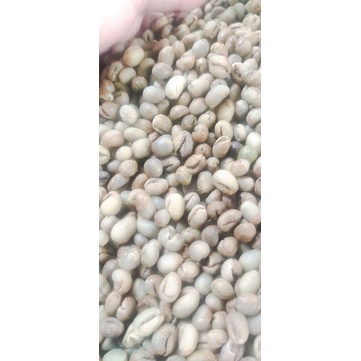 kopi Lanang robusta