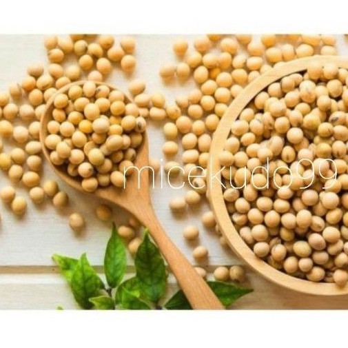 

NATURAL KACANG KEDELAI ORGANIK 1 KG / BIJI KACANG KEDELE / SOY BEAN