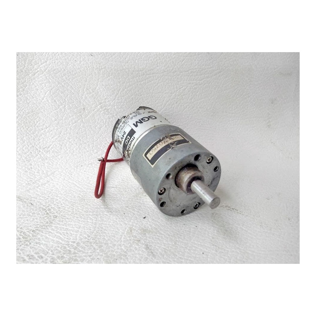 Dc Brushed Motor GGM 24V 5Rpm