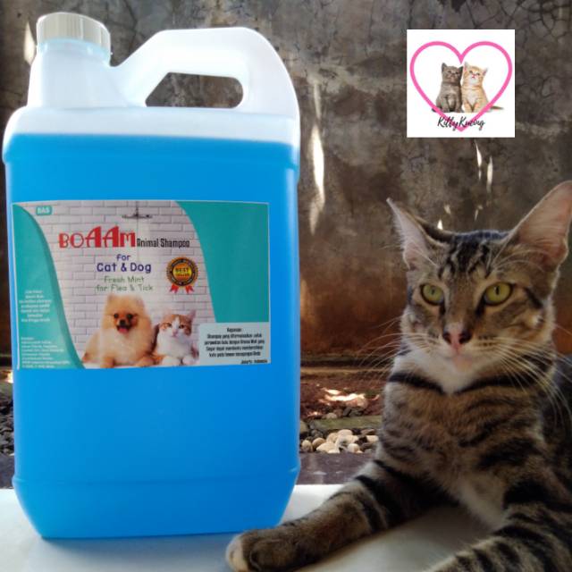 Grooming Shampo Kucing Anjing BOAAM 5 Litter