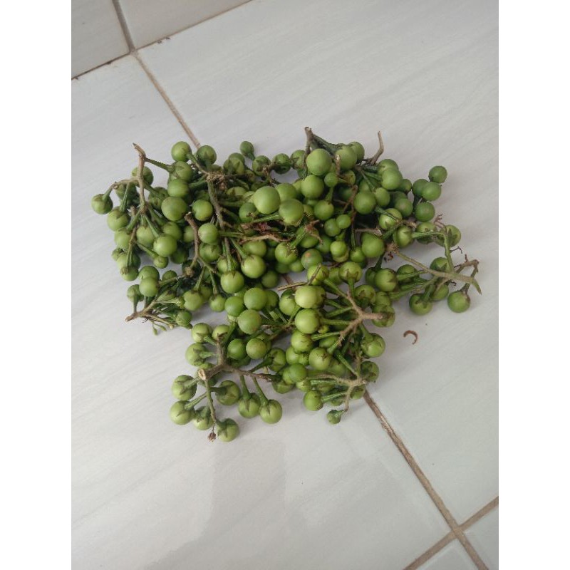 

cempokak segar per 500 grm