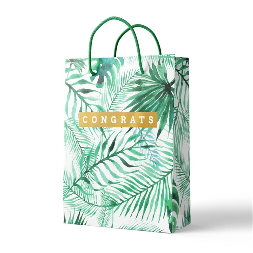 

Capricorn Design Paper Bag Congrats isi 1 - SBM 044