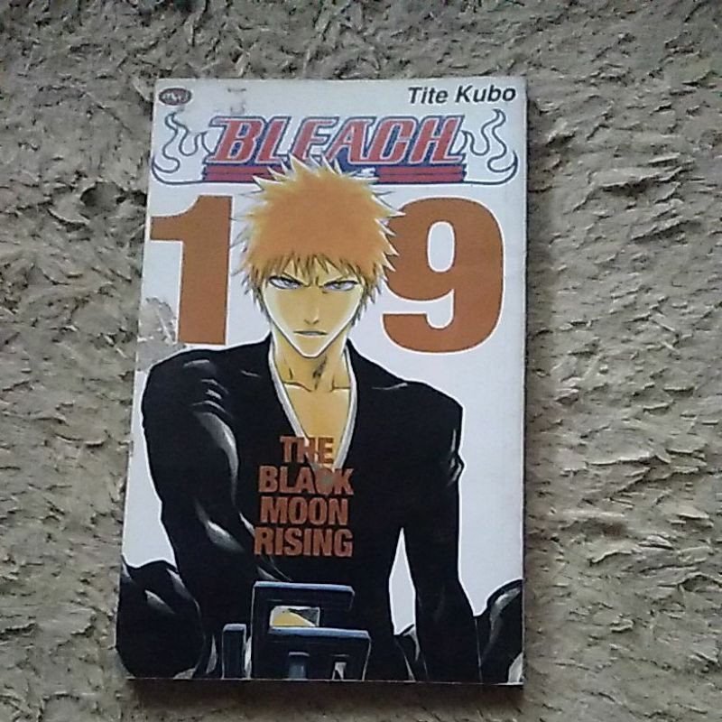 Komik Bleach 19