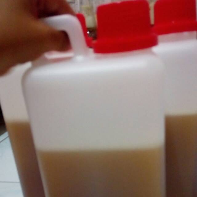

Madu multiflora asli dan murni