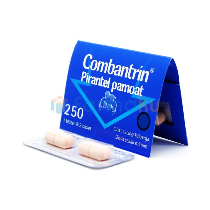 Combantrin Tablet 250mg Obat Cacing Isi 2 Shopee Indonesia