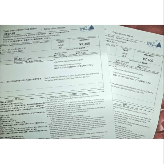 Tiket Disneyland Tokyo for 2 persons (adult)