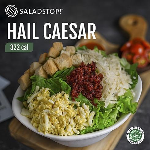 

Saladstop! Healthy Salad : Hail Caesar