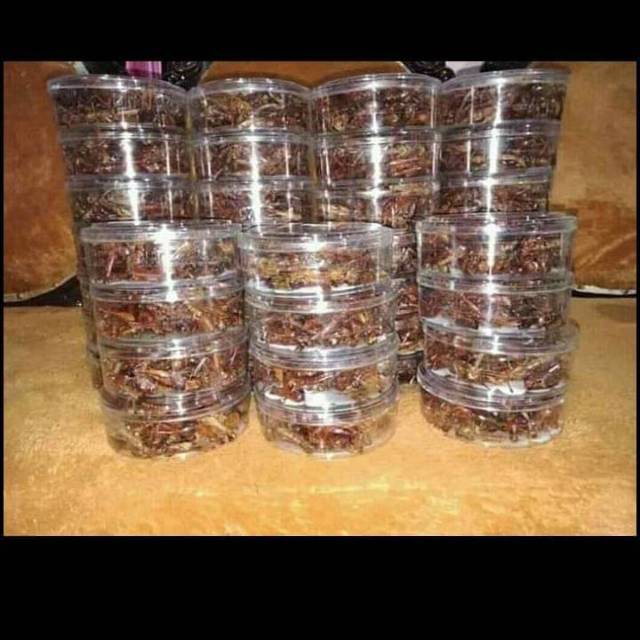 

belalang goreng