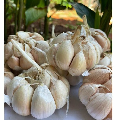 

Bawang Putih 250 gr - 1 kg