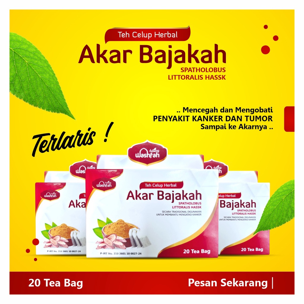 

Teh Celup Akar Kayu Bajakah Asli Herbal Kanker Tumor | Teh Bajakah Borneo Washfah Asli Kalimantan siap minum