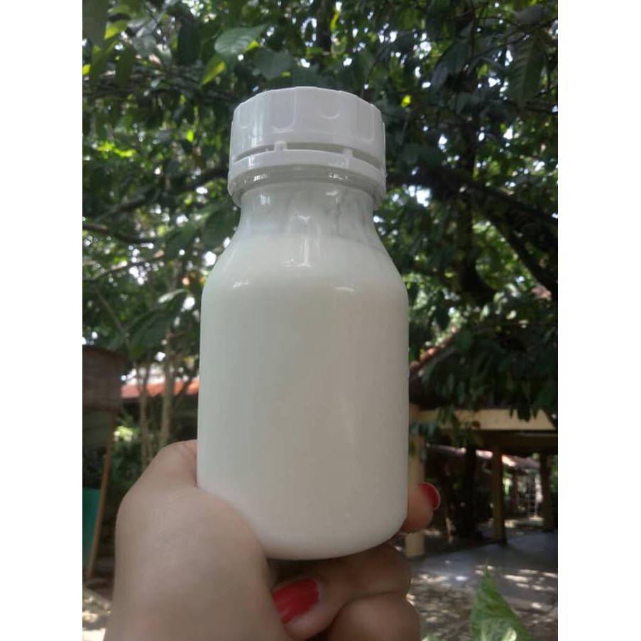

BEST SELLER PROMO!!!! KEFIR YOGURT 100% MURNI Murah