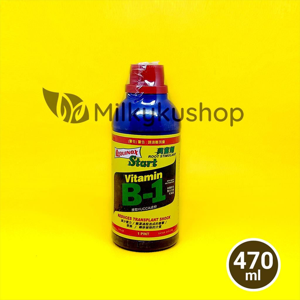 LIQUINOX VITAMIN B1 TAIWAN 470 ML